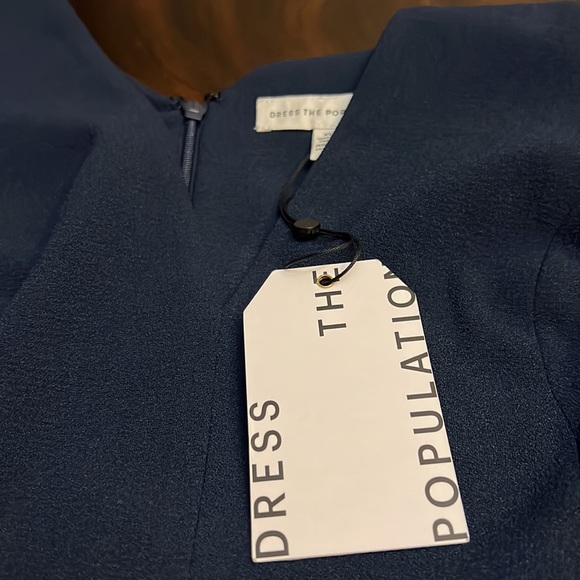 Dress the Population Corey V-Neck Cap Sleeve Lace Hem Dress - Picture 14 of 15